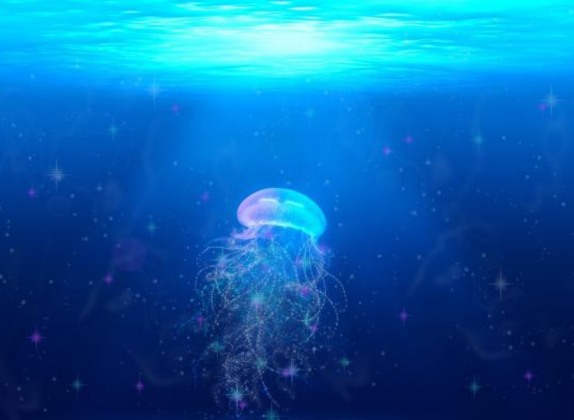 Sonar con medusas 1